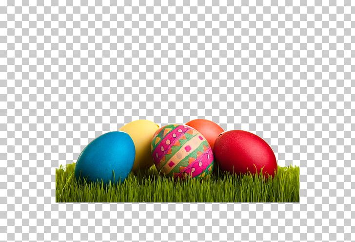 Easter Bunny Chicken Easter Egg PNG, Clipart, Broken Egg, Child, Computer Wallpaper, Easter, Easter Basket Free PNG Download
