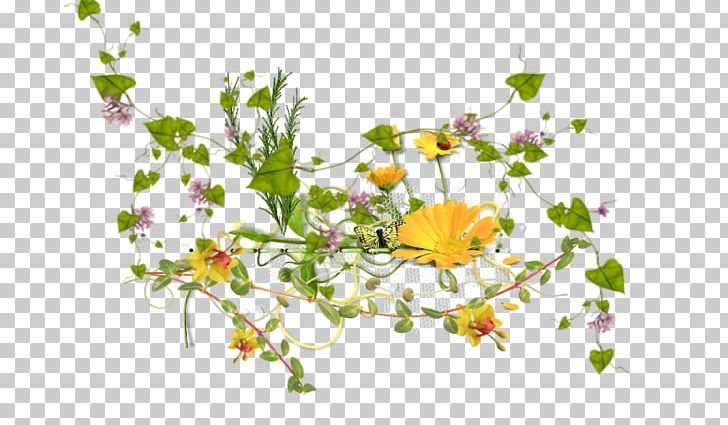 Floral Design Leaf Petal Plant Stem PNG, Clipart, Blossom, Branch, Branching, Delice, Evasion Free PNG Download