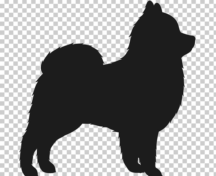 Schipperke Eurasier Pomeranian Finnish Spitz Puppy PNG, Clipart, Animals, Black, Carnivoran, Companion Dog, Dog Breed Free PNG Download