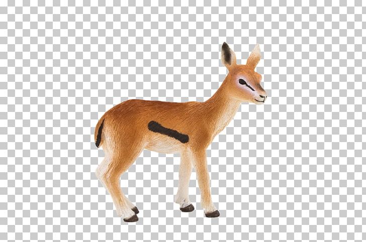 Antelope Dorcas Gazelle Gemsbok Thomson's Gazelle Toy PNG, Clipart, Animal, Animal Figure, Animals, Animal Sauvage, Antelope Free PNG Download