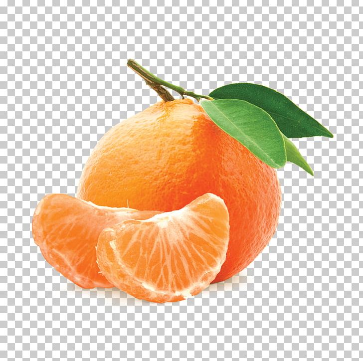 Mandarin Orange Fruit Fumari PNG, Clipart, Bitter Orange, Chenpi, Citric Acid, Citrus, Clementine Free PNG Download