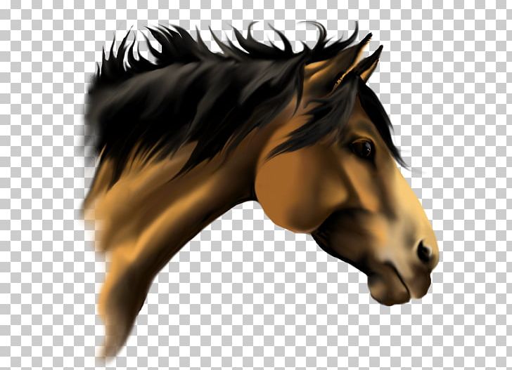 American Paint Horse American Quarter Horse Stallion 3d Horse Racing Mane Png Clipart American Paint Horse