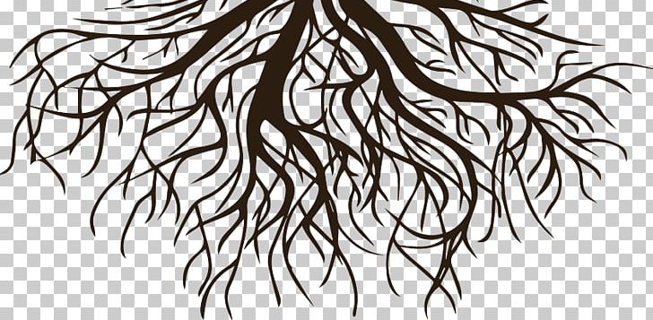 Drawing Root Graphics Tree PNG, Clipart, Art, Artwork, Black And White, Branch, Drawing Free PNG Download