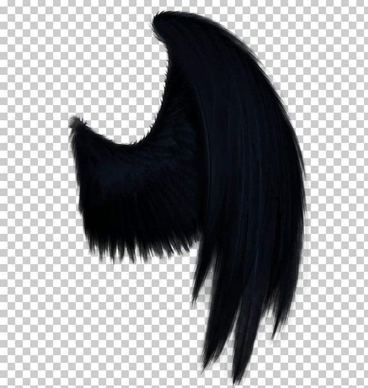 black wings demon