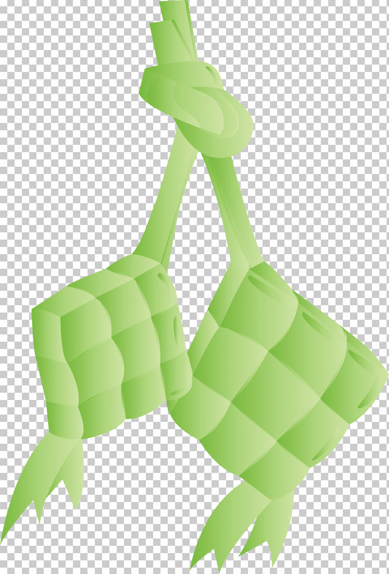 Ketupat PNG, Clipart, Biology, Green, Hm, Ketupat, Leaf Free PNG Download