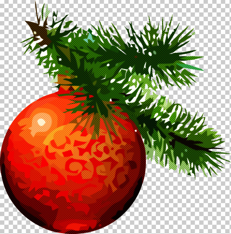 Christmas Pine PNG, Clipart, Branch, Christmas, Christmas Decoration, Christmas Eve, Christmas Ornament Free PNG Download