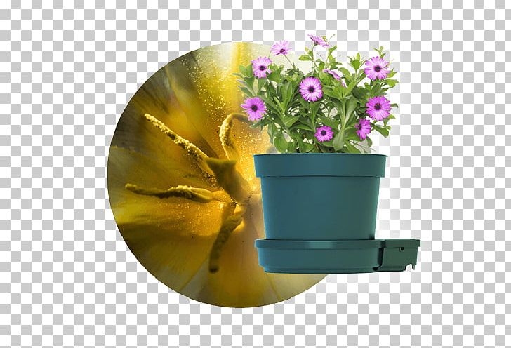 Budi Daya Vegetable Gogro Flowerpot Hyperion PNG, Clipart, Base, Budi Daya, Flower, Flowerpot, Hyperion Free PNG Download