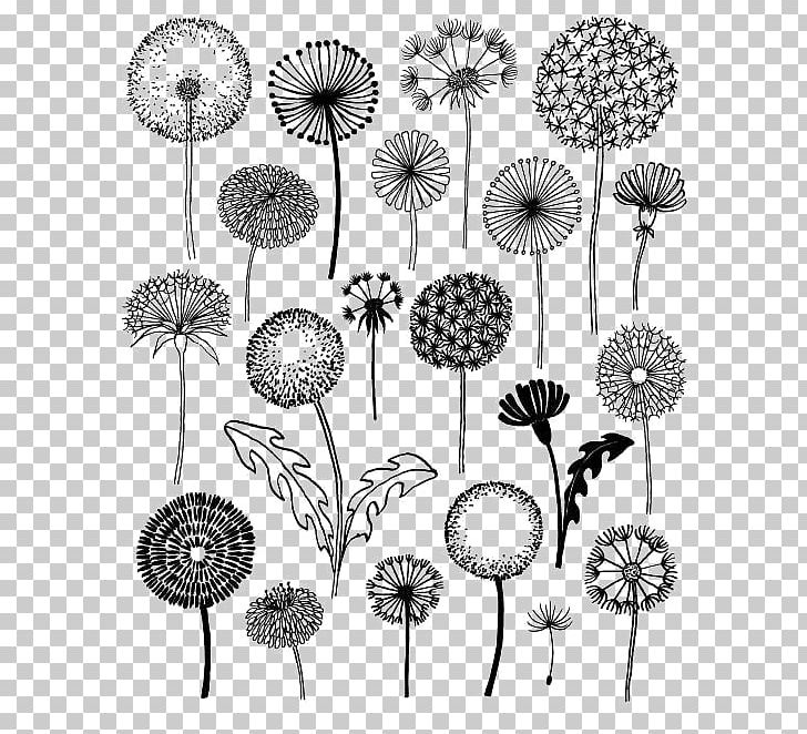 Dandelion 20 Ways To Draw A Tree And 44 Other Nifty Things From Nature: A Sketchbook For Artists PNG, Clipart, Black, Daisy Family, Dandelion Flower, Dandelion Vector, Flower Free PNG Download