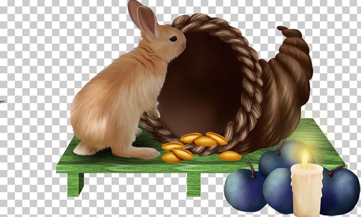 Domestic Rabbit Easter Bunny Hare PNG, Clipart, Animals, Domestic Rabbit, Easter, Easter Bunny, Fauna Free PNG Download