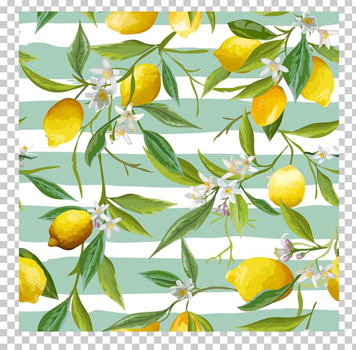Lemon Flower Stock Photography Leaf PNG, Clipart, Bitter Orange, Branch, Calamondin, Citron, Citrus Free PNG Download