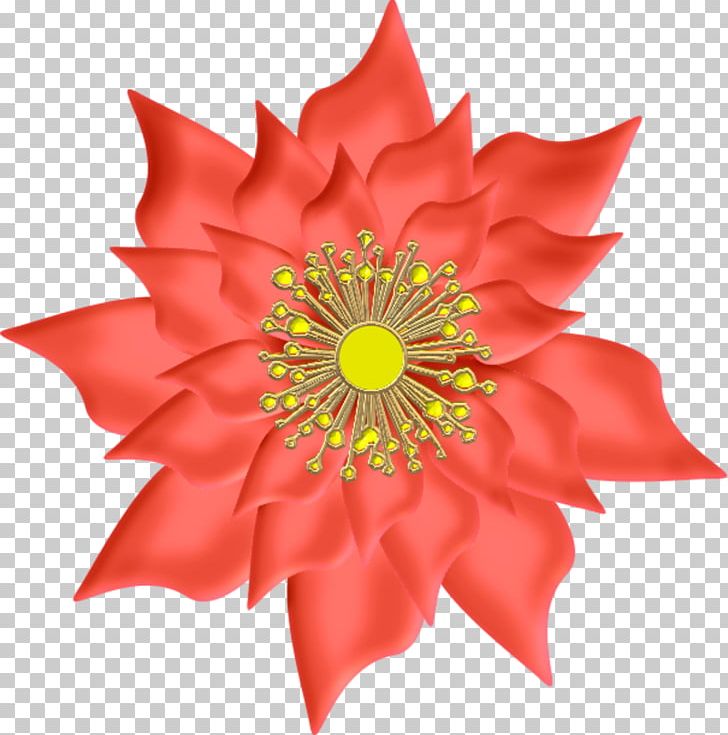 Smiley Jappy WhatsApp PNG, Clipart, Cut Flowers, Dahlia, Egg, Facebook, Facebook Inc Free PNG Download