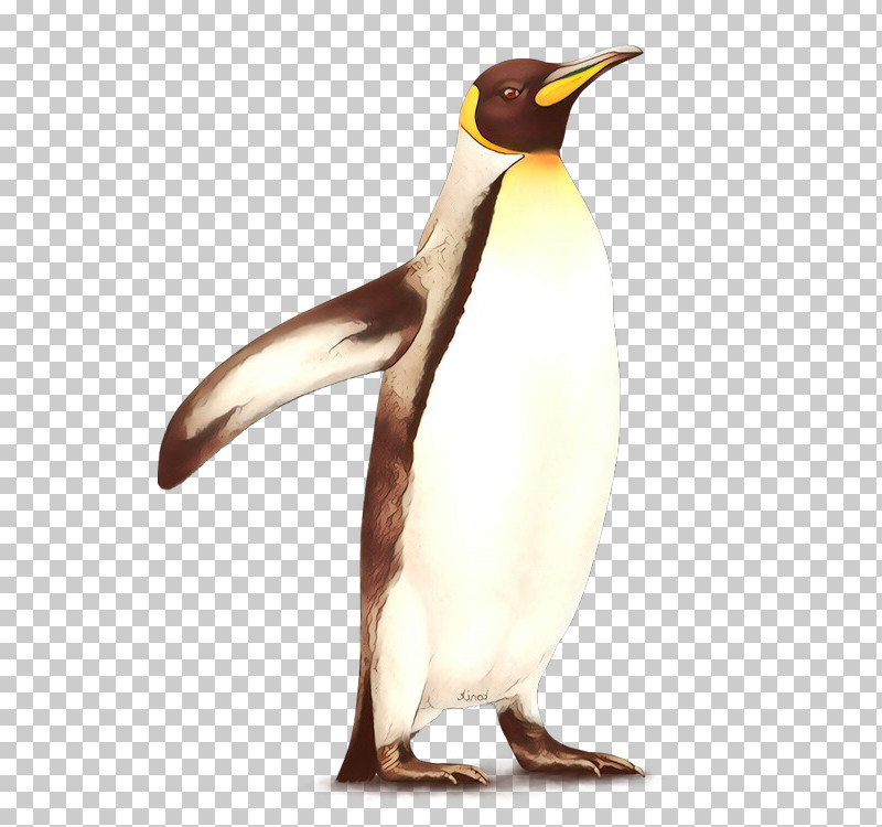Penguin PNG, Clipart, Beak, Bird, Emperor Penguin, Flightless Bird, Gentoo Penguin Free PNG Download