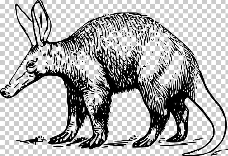 Anteater Aardvark Amazon.com Greeting & Note Cards PNG, Clipart, Aardvark, Amazoncom, Anteater, Bear, Black And White Free PNG Download