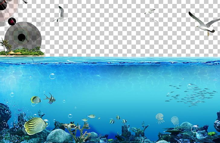 Underwater World PNG, Clipart, Around The World, Blue, Computer Wallpaper, Marine Biology, Ocean Free PNG Download