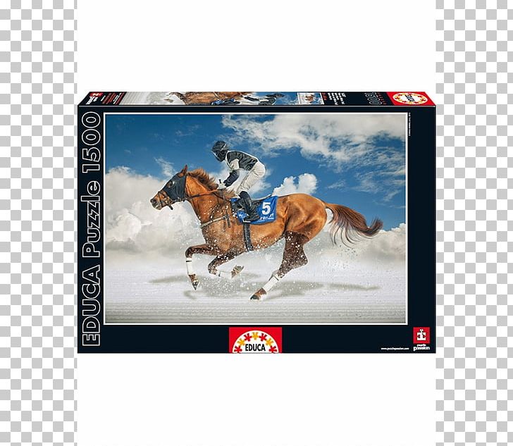 White Turf Racing Association PNG, Clipart, Advertising, Brand, Educa, Game, Horse Free PNG Download