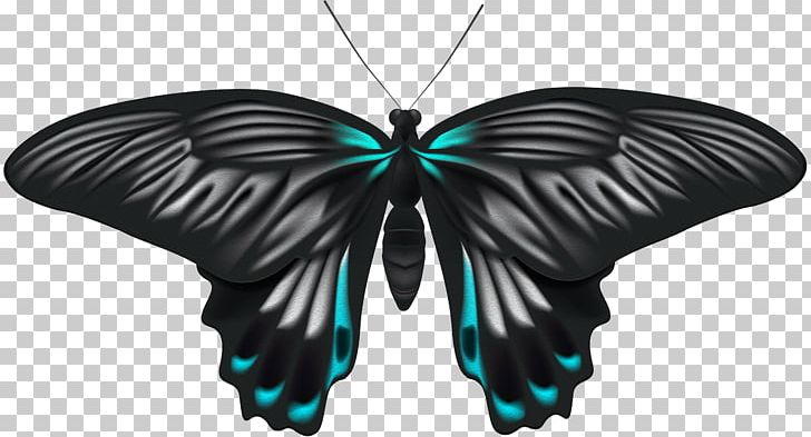 File Formats Lossless Compression PNG, Clipart, Arthropod, Bitmap, Butterflies, Butterflies And Moths, Butterfly Free PNG Download