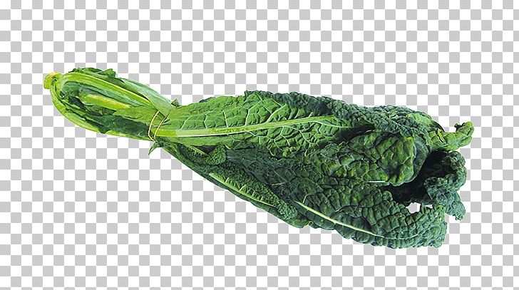 Lacinato Kale Rapini Spring Greens Collard Greens Brussels Sprout PNG, Clipart,  Free PNG Download
