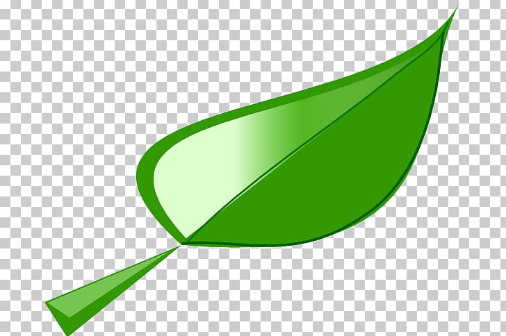 Leaf Lettuce PNG, Clipart, Angle, Clip Art, Euclidean Vector, Fig, Fig Cliparts Free PNG Download