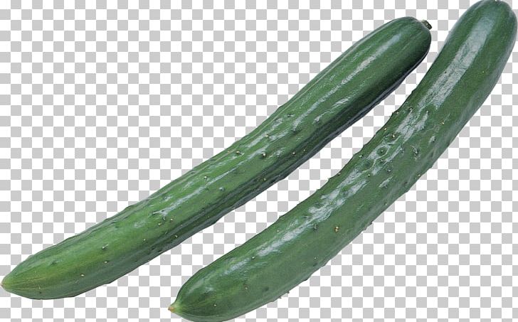 Pickled Cucumber Spreewald Gherkins Cucumber Sandwich Vegetable PNG, Clipart, Cucumber, Cucumber Gourd And Melon Family, Cucumber Juice, Cucumber Sandwich, Cucumis Free PNG Download