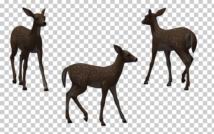 Red Deer White-tailed Deer Roe Deer Illustration PNG, Clipart, Animal, Antelope, Cartoon, Deer, Drawing Free PNG Download