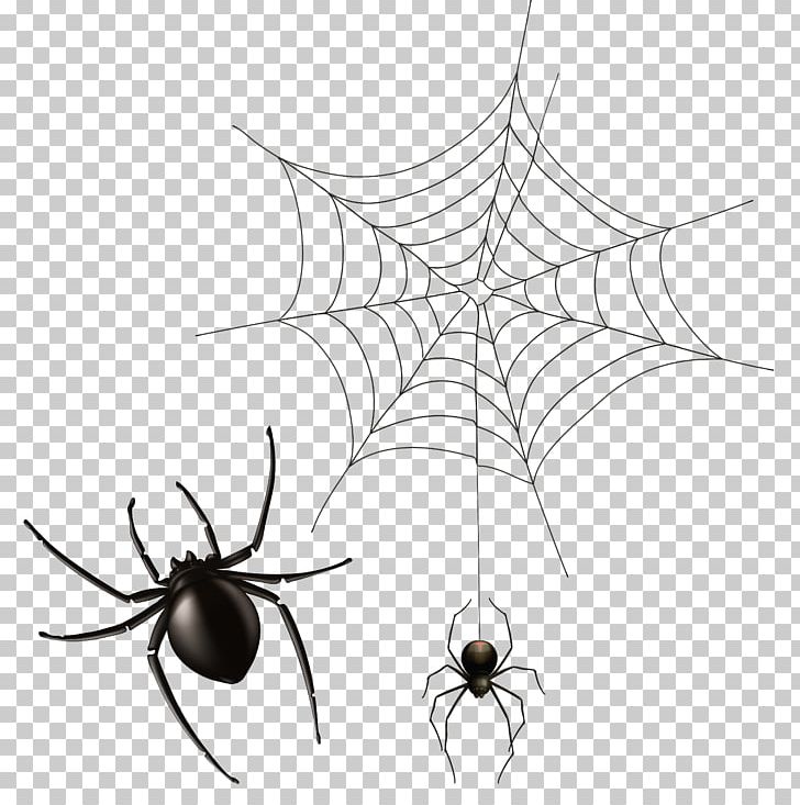 Spider Web PNG, Clipart, Arachnid, Black And White, Branch, Circle, Clip Art Free PNG Download