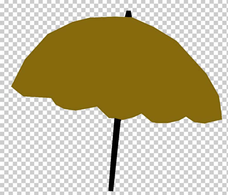 Leaf Umbrella Science Biology Plants PNG, Clipart, Biology, Leaf, Plants, Plant Structure, Science Free PNG Download