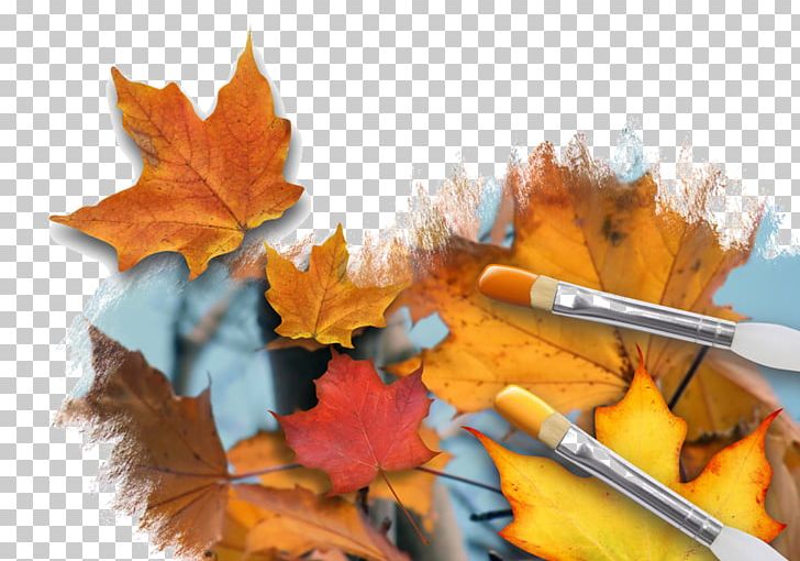 Autumn Leaf Color Painting Stock Photography PNG, Clipart, Art, Autumn, Autumn Leaf Color, Leaf, Maple Leaf Free PNG Download