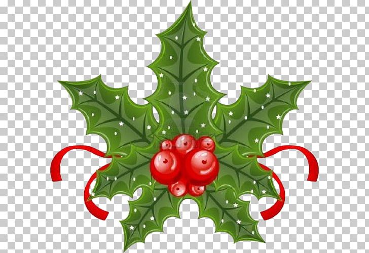 Christmas PNG, Clipart, Aquifoliaceae, Aquifoliales, Christmas, Christmas Decoration, Christmas Holly Free PNG Download