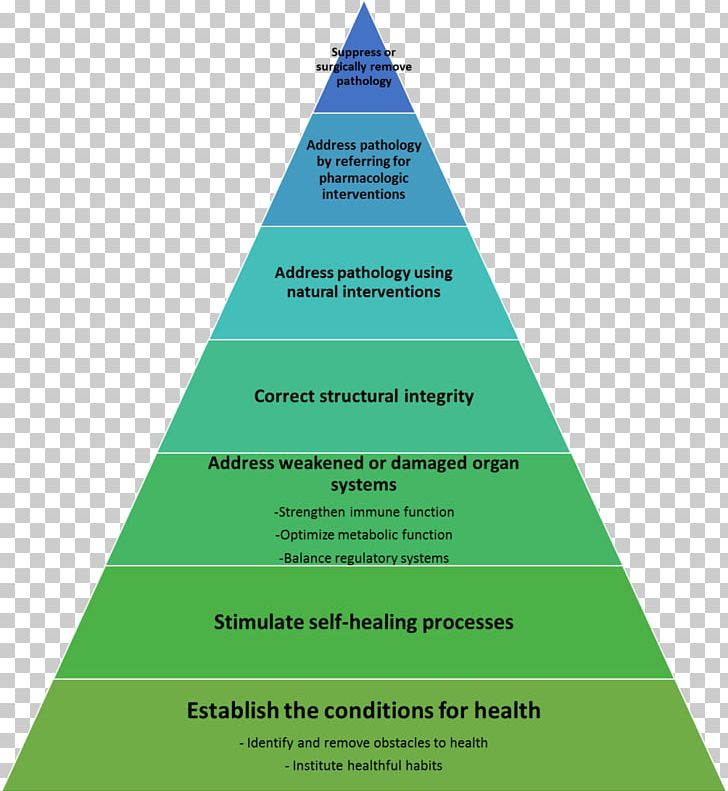 Feudalism Pig Medicine Chart PNG, Clipart, Animal, Animal Farm, Animals, Brand, Chart Free PNG Download