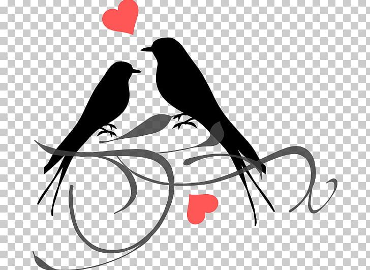 Grey-headed Lovebird PNG, Clipart, Animals, Art, Artwork, Beak, Bird Free PNG Download