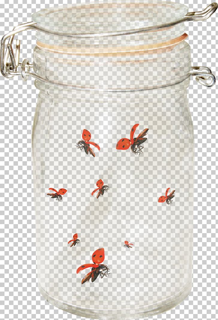 Ladybird Glass PNG, Clipart, Animal, Computer Icons, Computer Network, Computer Software, Data Free PNG Download