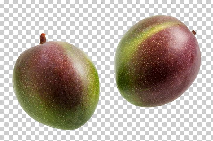 Mango Food Fruit PNG, Clipart, Apple, Closeup, Food, Fresh, Fruit Free PNG Download