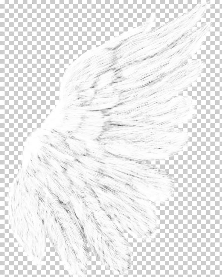 Black And White Drawing Monochrome Photography Feather PNG, Clipart, Animals, Black And White, Drawing, Feather, Line Free PNG Download