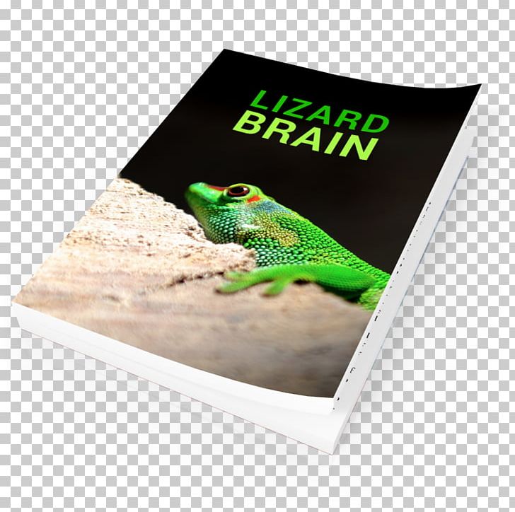 Frog Advertising Brand PNG, Clipart, Advertising, Amphibian, Animals, Brand, Frog Free PNG Download
