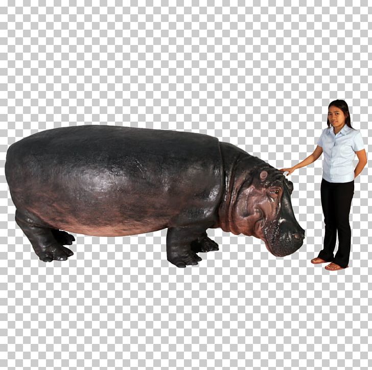 Hippopotamus Pig Terrestrial Animal Snout PNG, Clipart, Animal, Animals, Hippopotamus, Mammal, Organism Free PNG Download