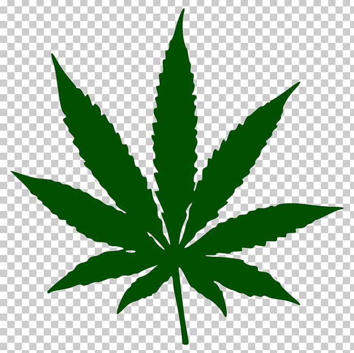 Medical Cannabis Leaf Smoking PNG, Clipart, Cannabis, Cannabis Sativa, Cannabis Smoking, Drug, Grass Free PNG Download