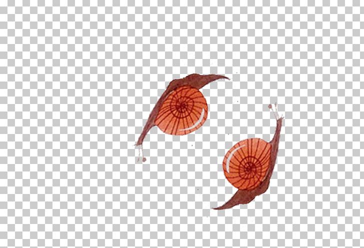 Orthogastropoda PNG, Clipart, 1000000, Animals, Cute, Cute Animals, Cute Snail Free PNG Download