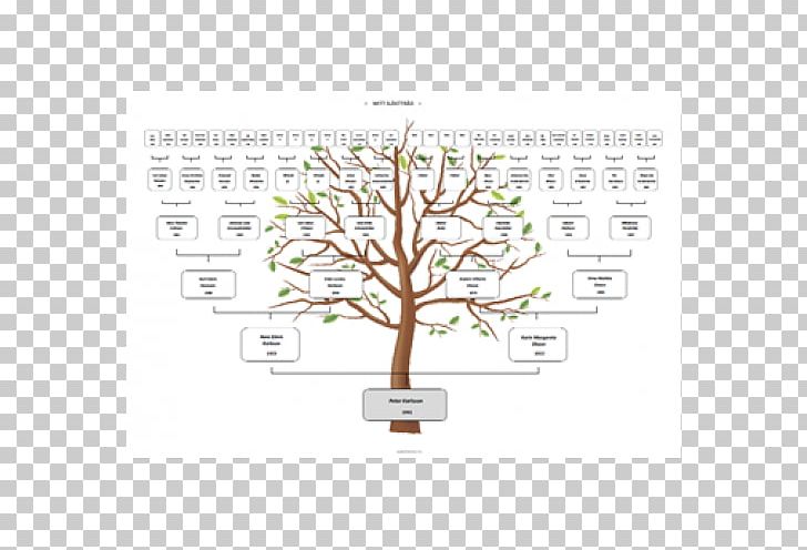 PhotoScape GIMP Flower Diagram PNG, Clipart, Blog, Branch, Diagram, Family Tree 5 Member Frame, Flower Free PNG Download