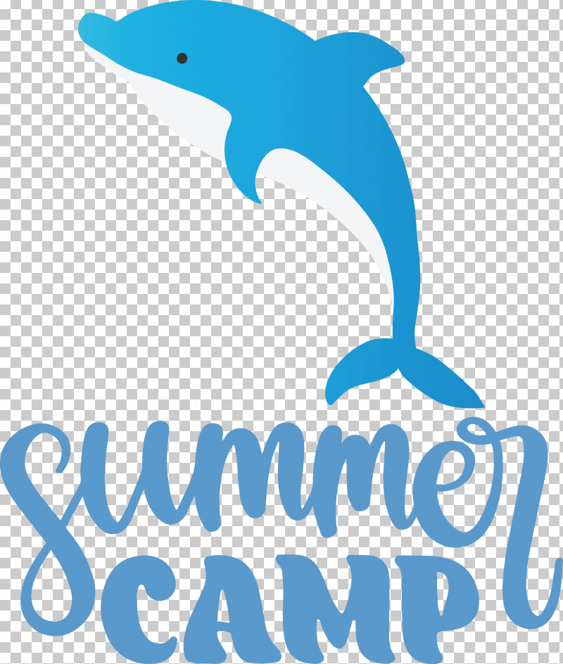 Summer Camp Summer Camp PNG, Clipart, Camp, Cetaceans, Dolphin, Logo, Meter Free PNG Download