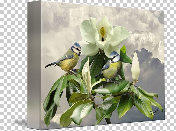 Bird Painting Art Flower Floral Design PNG, Clipart, Animals, Art, Bird, Cut Flowers, Eurasian Blue Tit Free PNG Download