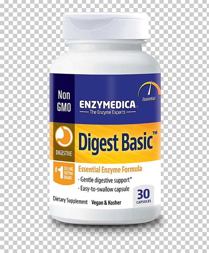Dietary Supplement Digestive Enzyme Digestion Probiotic PNG, Clipart, Amylase, Basic, Capsule, Carbohydrate, Cellulase Free PNG Download