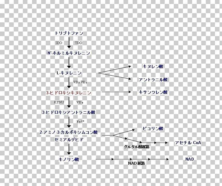 Public Domain Copyright Thumbnail Kynurenine Pathway PNG, Clipart, Angle, Area, Author, Blue, Computer Font Free PNG Download
