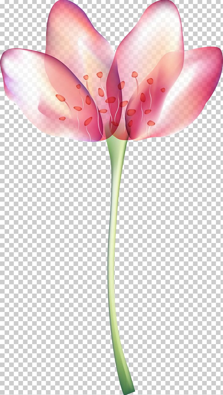 Flower PNG, Clipart, Blossom, Calla Lily, Computer Wallpaper, Coreldraw, Cut Flowers Free PNG Download