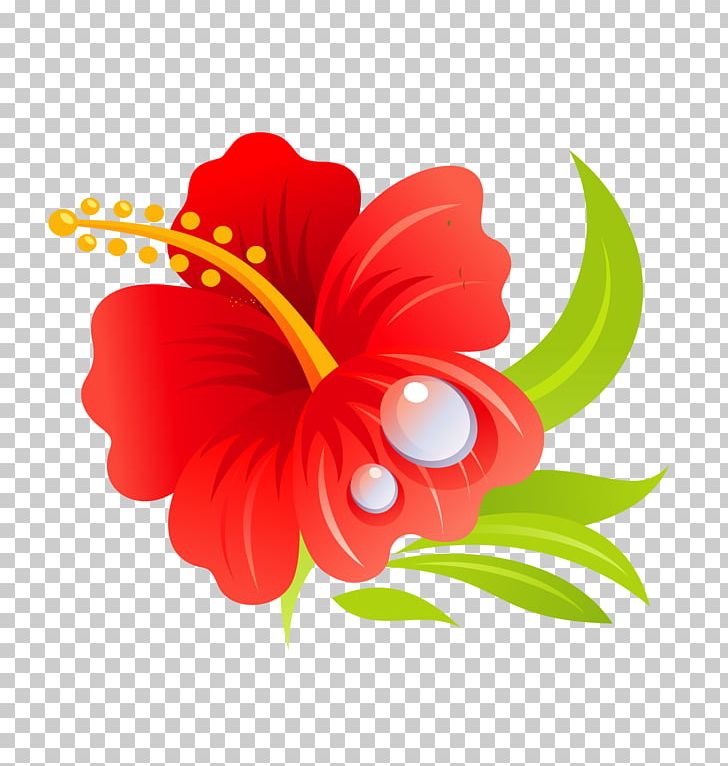 Hawaiian Hibiscus Hawaiian Hibiscus Drawing PNG, Clipart, Beach, Beach Vector, Computer Wallpaper, Floral, Floral Border Free PNG Download