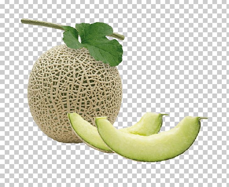 Honeydew Cantaloupe Galia Melon メロン・リキュール Laos PNG, Clipart, Cantaloupe, Cucumber Gourd And Melon Family, Cucurbitaceae, Diet Food, Food Free PNG Download