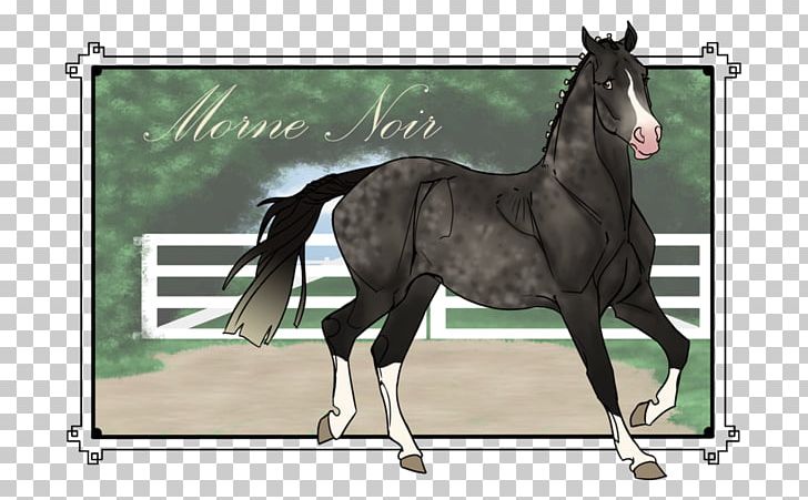 Stallion Colt Hanoverian Horse Foal Mare PNG, Clipart, Bit, Bridle, Colt, English Riding, Foal Free PNG Download