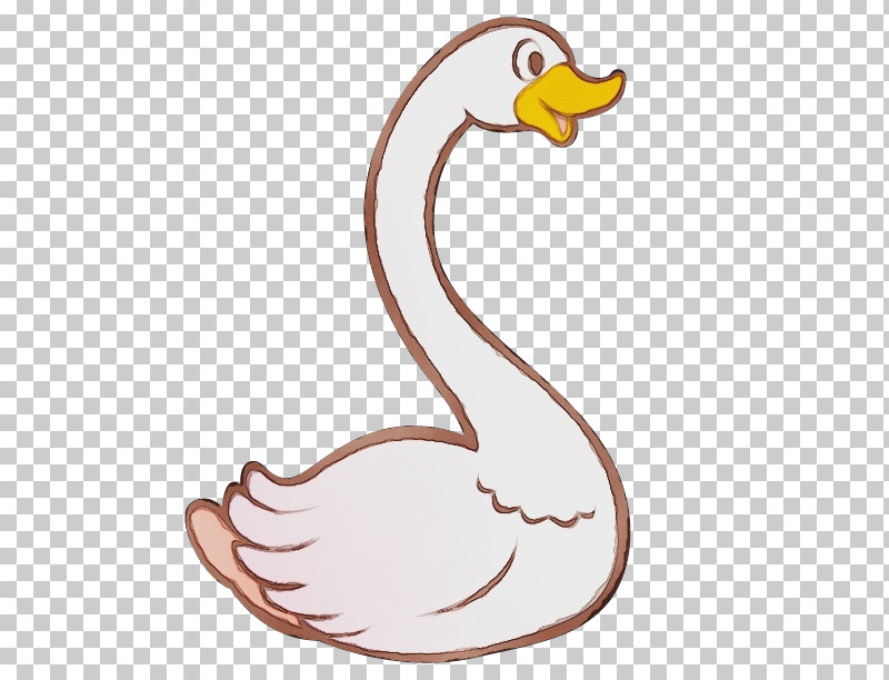 Duck Goose Swans Cartoon The Magic Swan Geese PNG, Clipart, Cartoon,  Domestic Goose, Drawing, Duck, Ducks