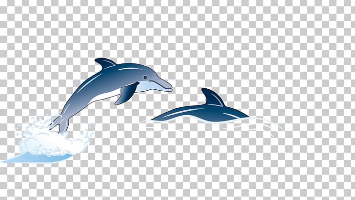 Common Bottlenose Dolphin Illustration PNG, Clipart, Animals, Blue, Cartoon, Computer Wallpaper, Cute Dolphin Free PNG Download