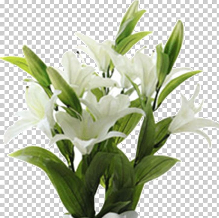 Cut Flowers Lilium Floral Design Plant PNG, Clipart, Cut Flowers, Floral Design, Flower, Flowering Plant, Flowerpot Free PNG Download