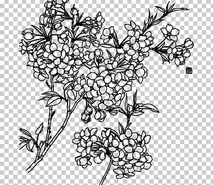 Drawing Flower PNG, Clipart, Abstract Lines, Architectural Drawing, Area, Black, Branch Free PNG Download